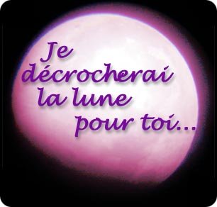 Amour Toujours